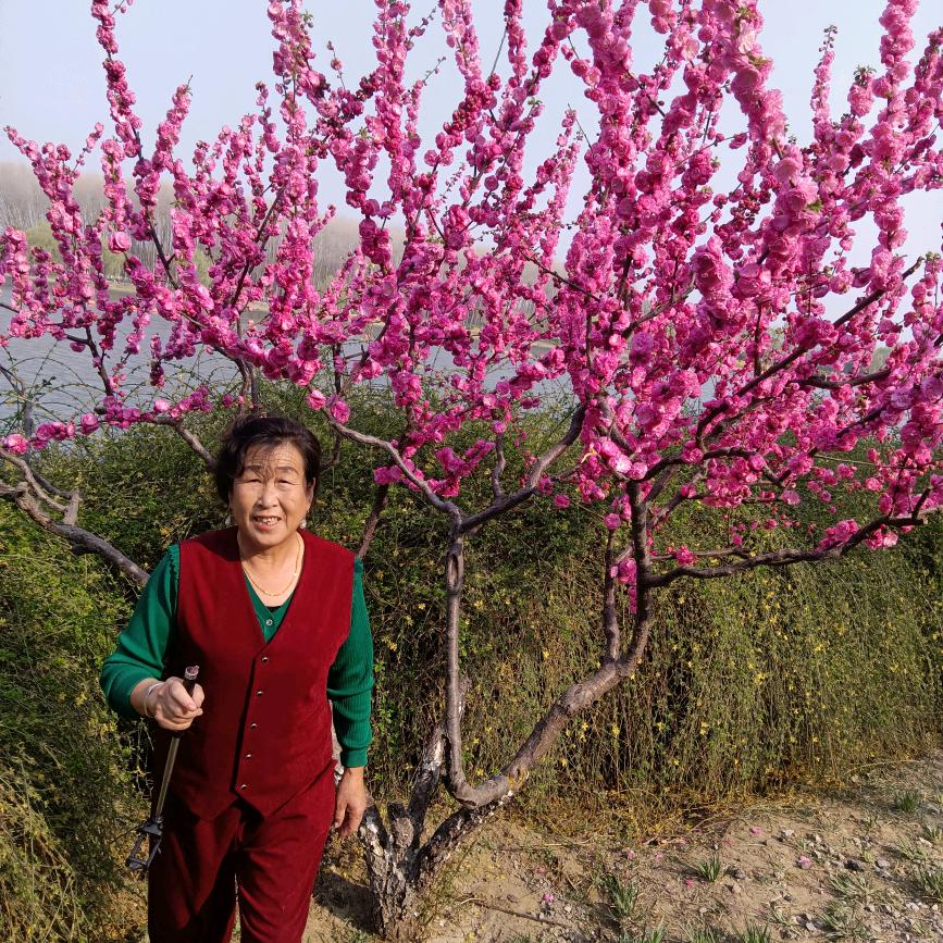 开开心心一生