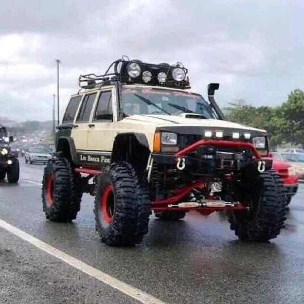 顺其自然