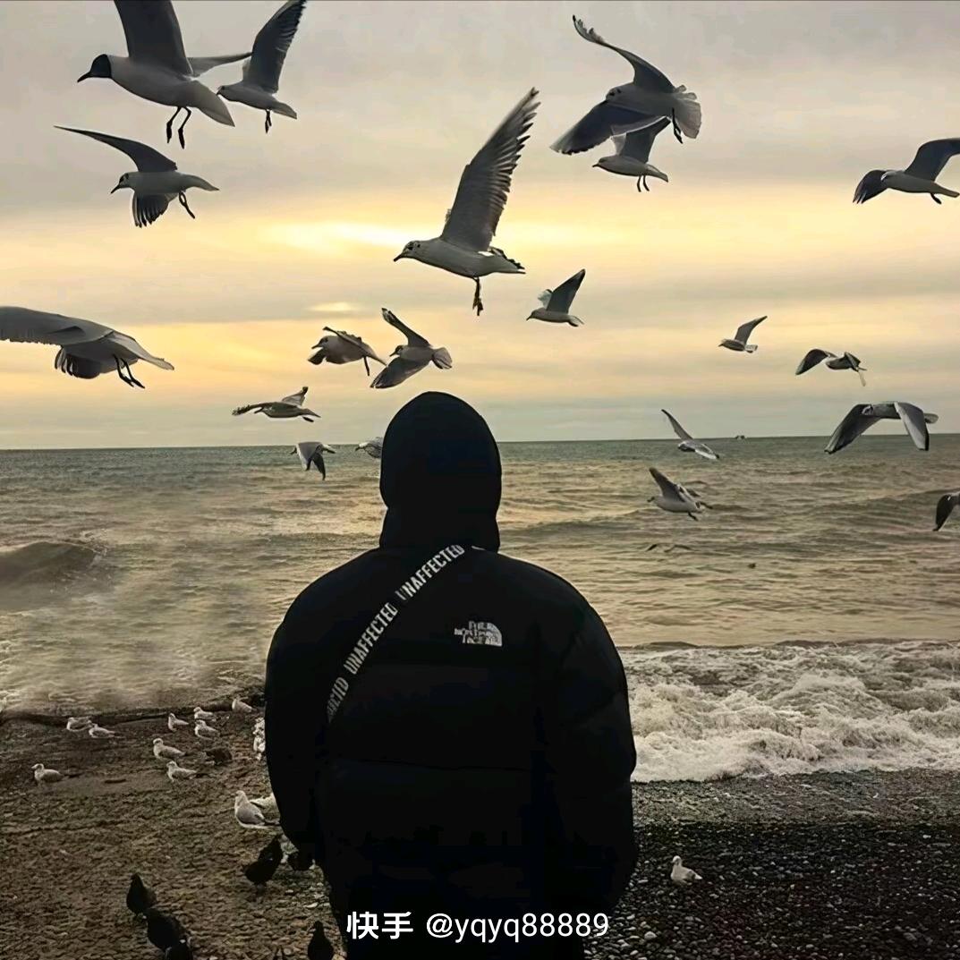 乐宝
