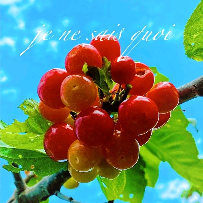 子竹