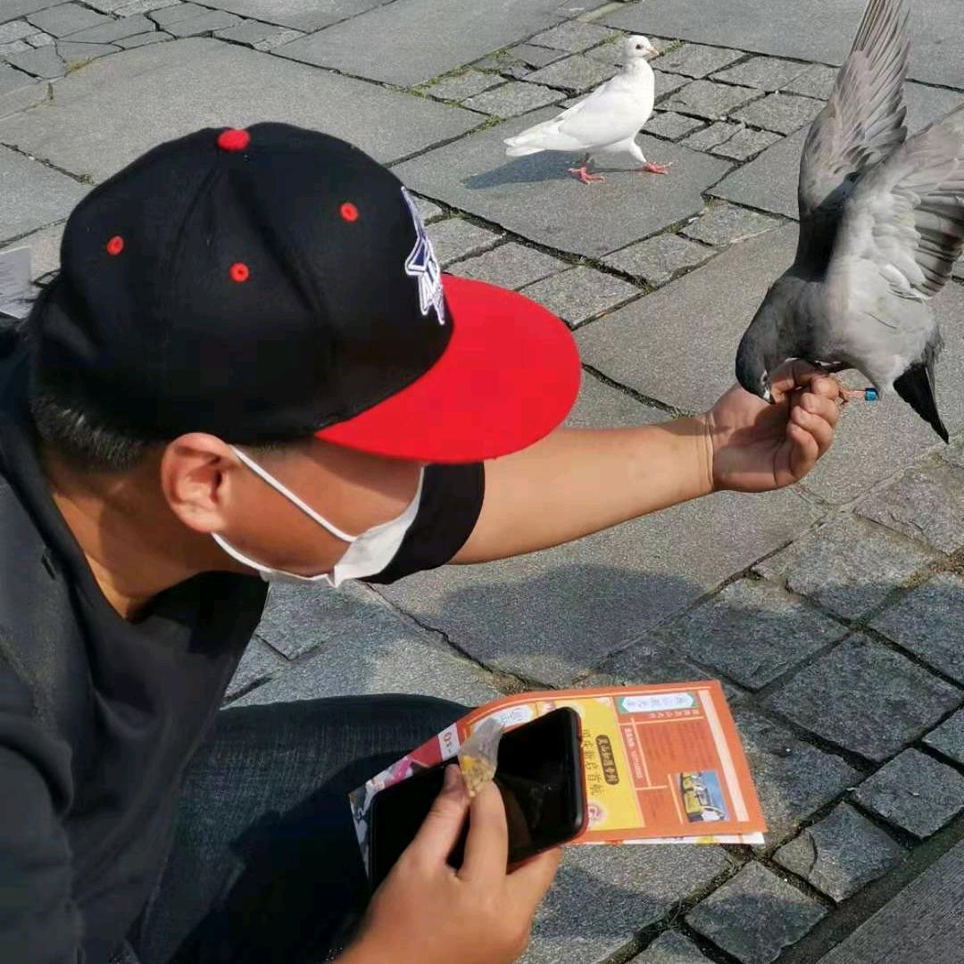 ꧁风之子꧂