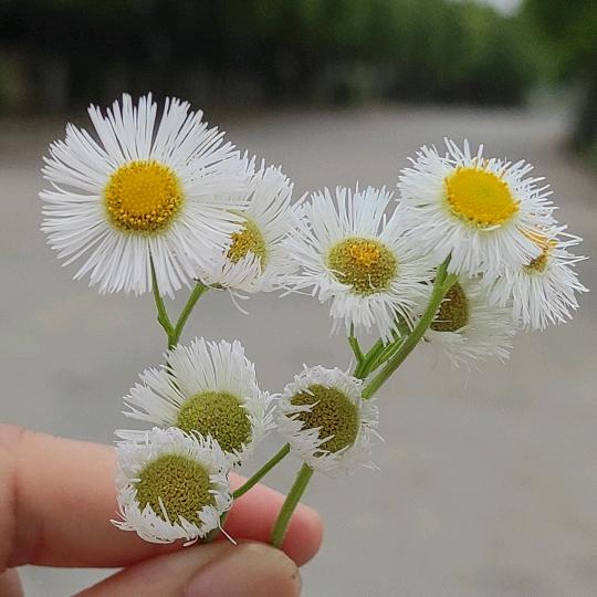 এ᭄心有所属ོꦿృ༊