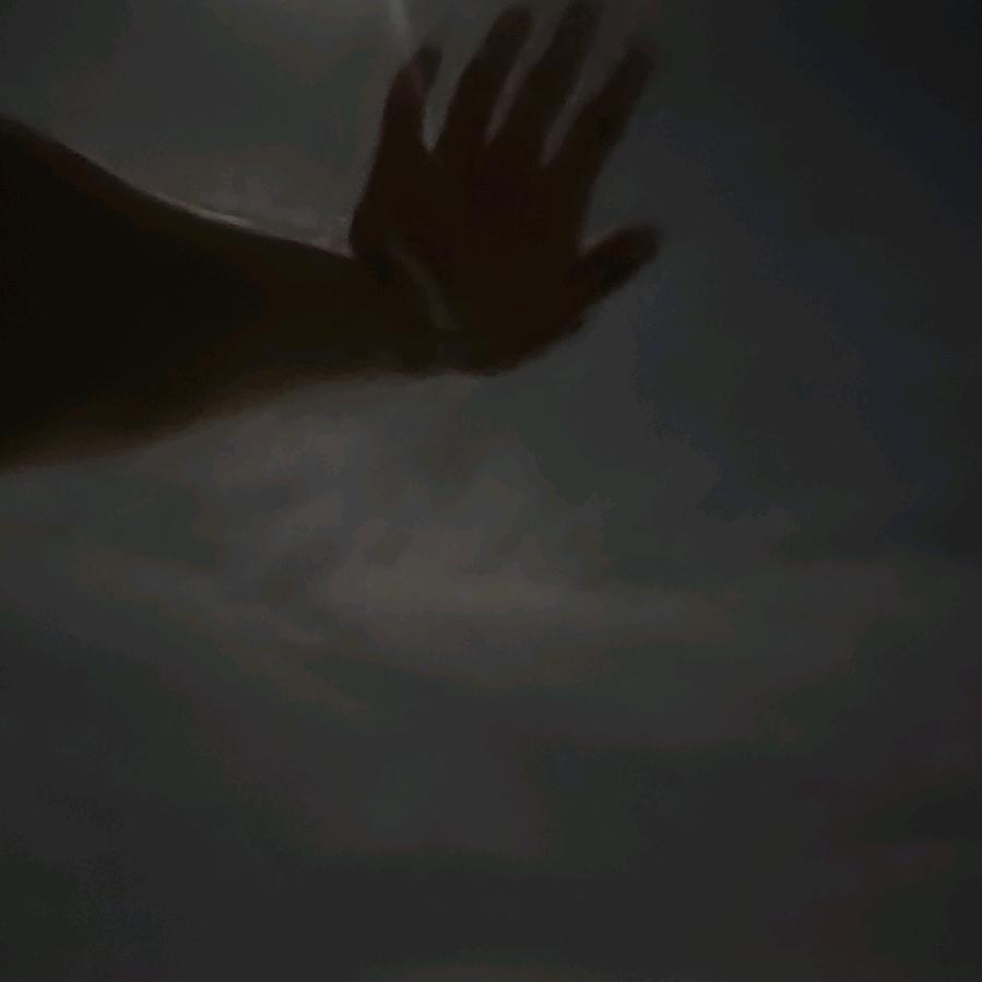 涛子爱生活