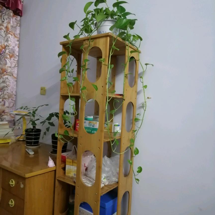 茅镇酒行