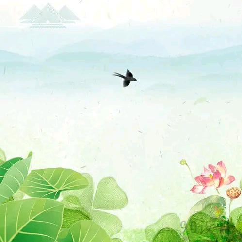 小九