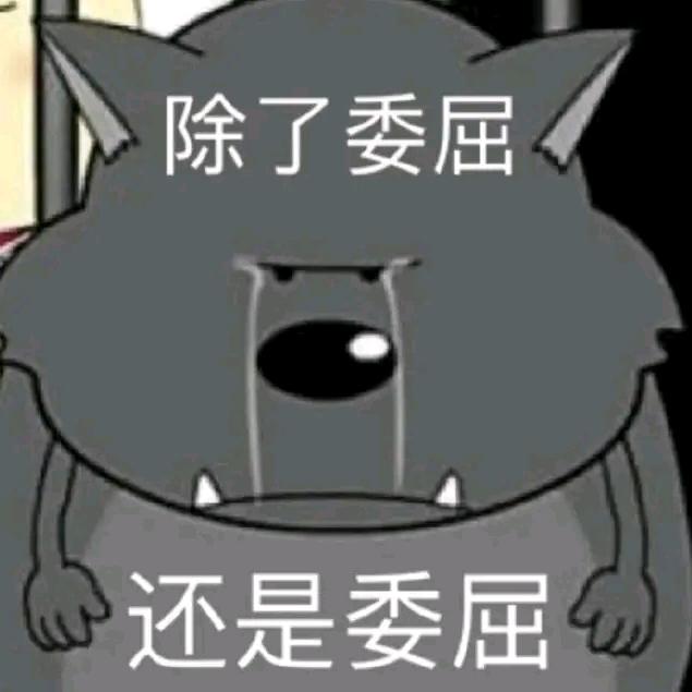 哈哈哈哈好
