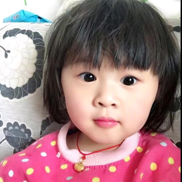 晨宝