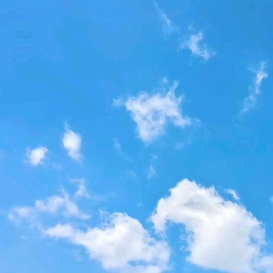 晓南哥
