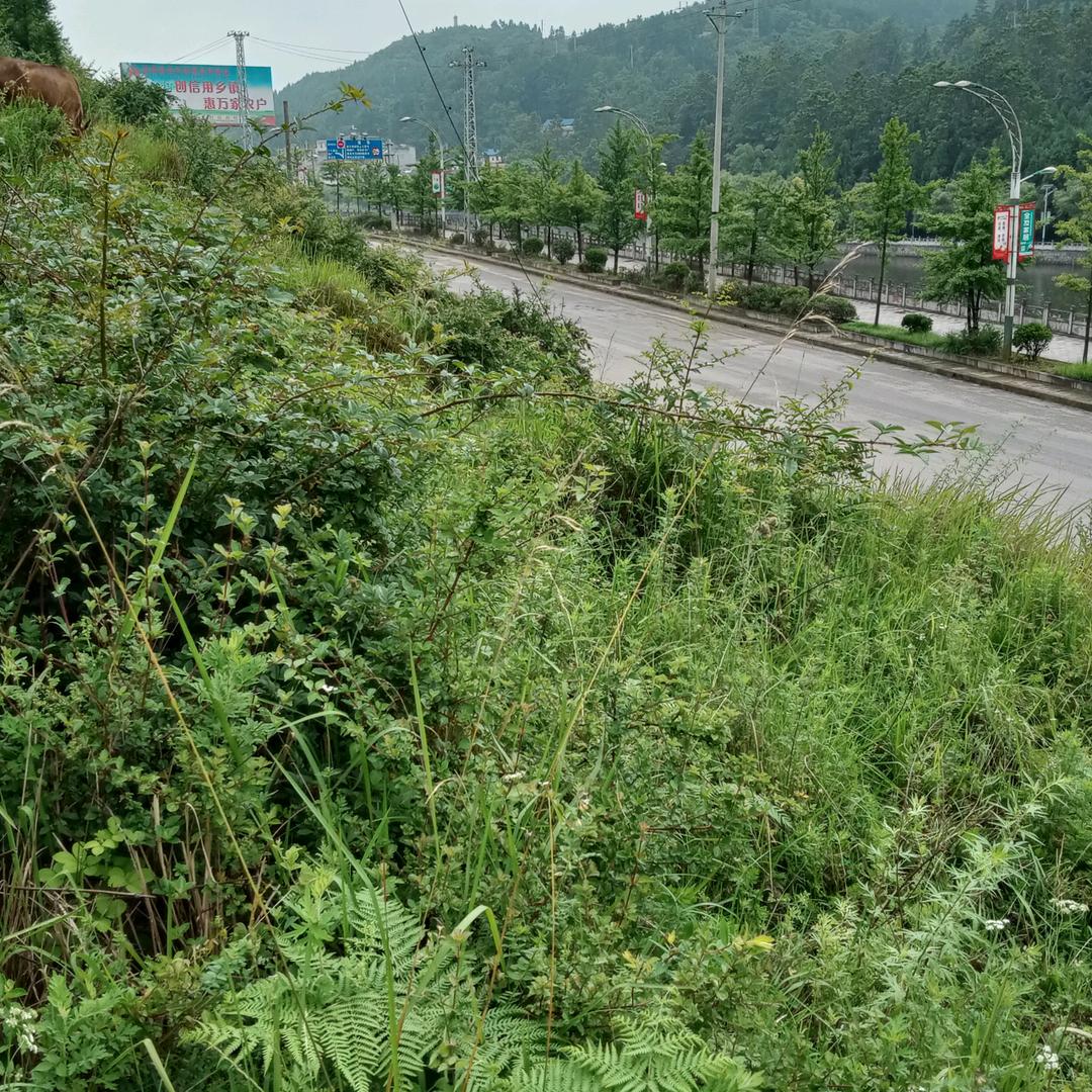 富源富村的冬天