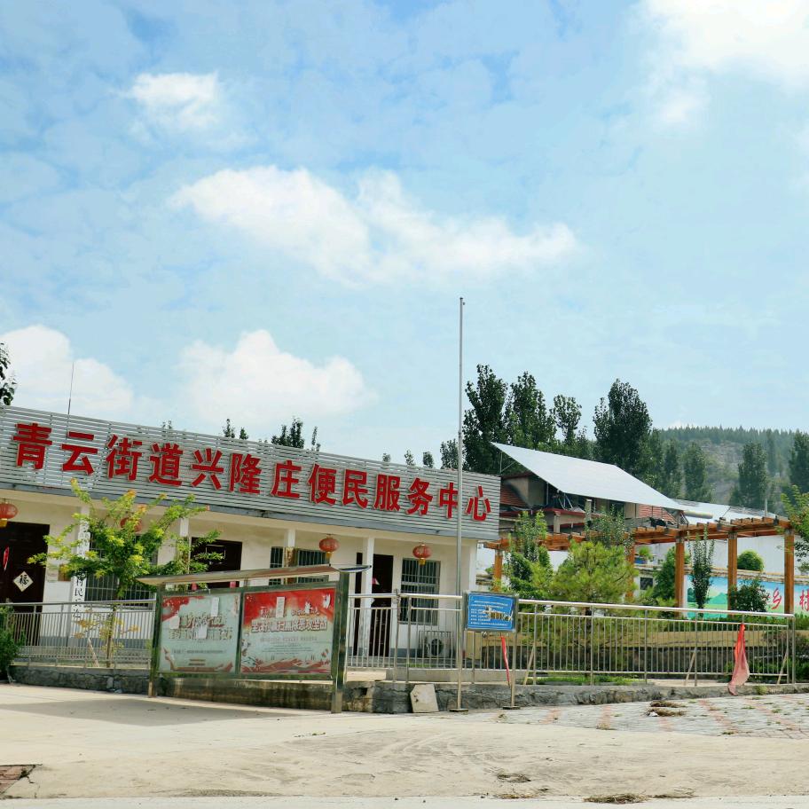 《兴隆人》葡萄采摘园