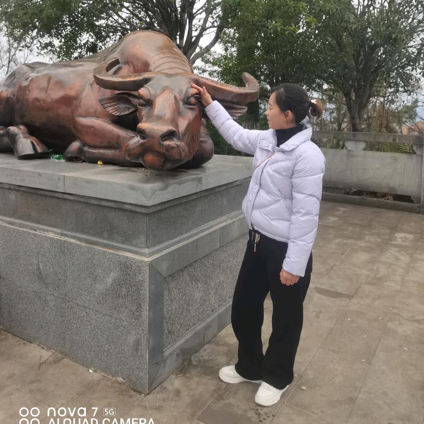 古 月 胡胡吖✨