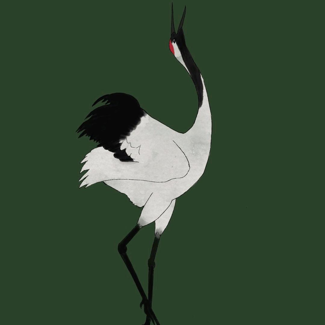 糕手不赢第一把