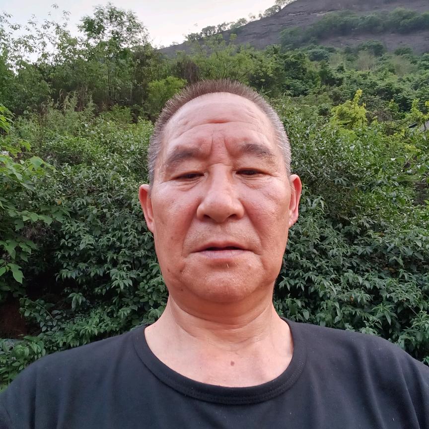 淼淼哥聊抖音
