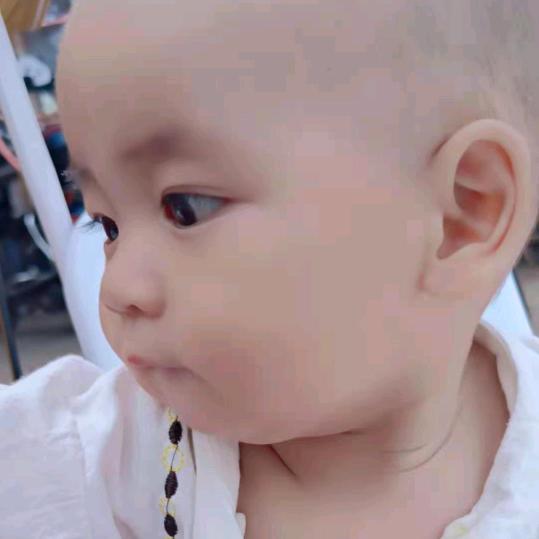 小黄豆豆