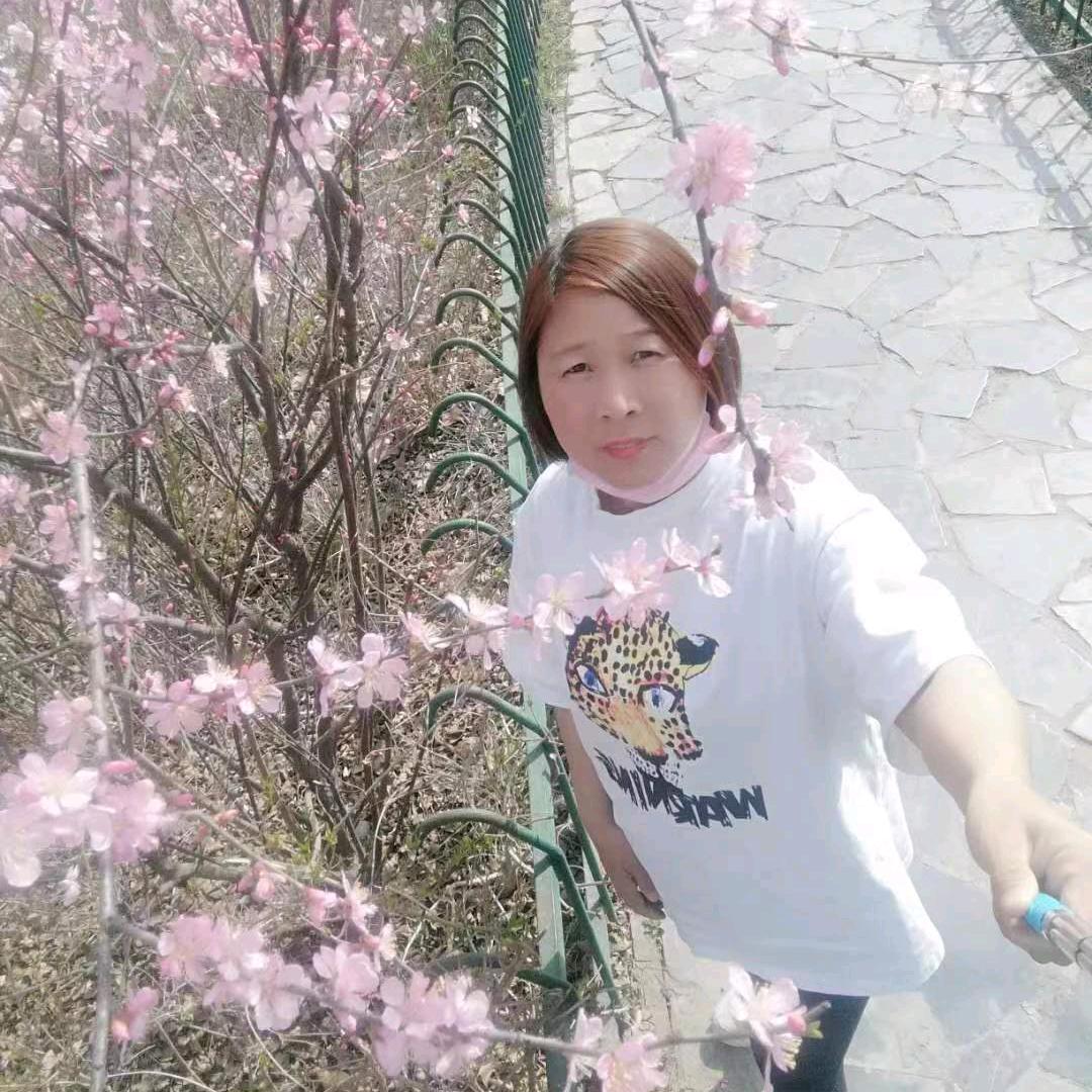 燕子防疫