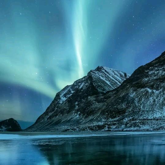 无论生活有多苦涩，我依然是欢乐的