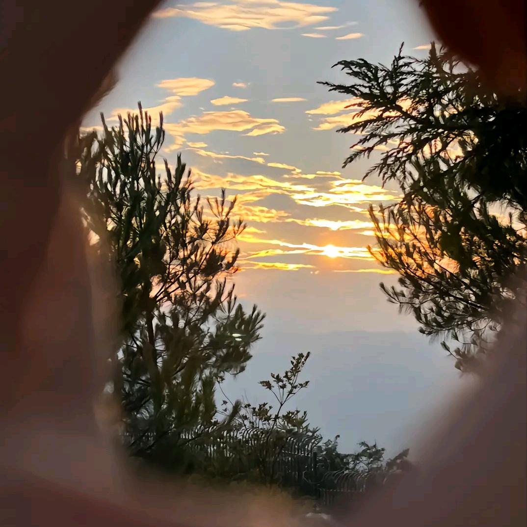 🫧🫧漼泡泡🫧🫧