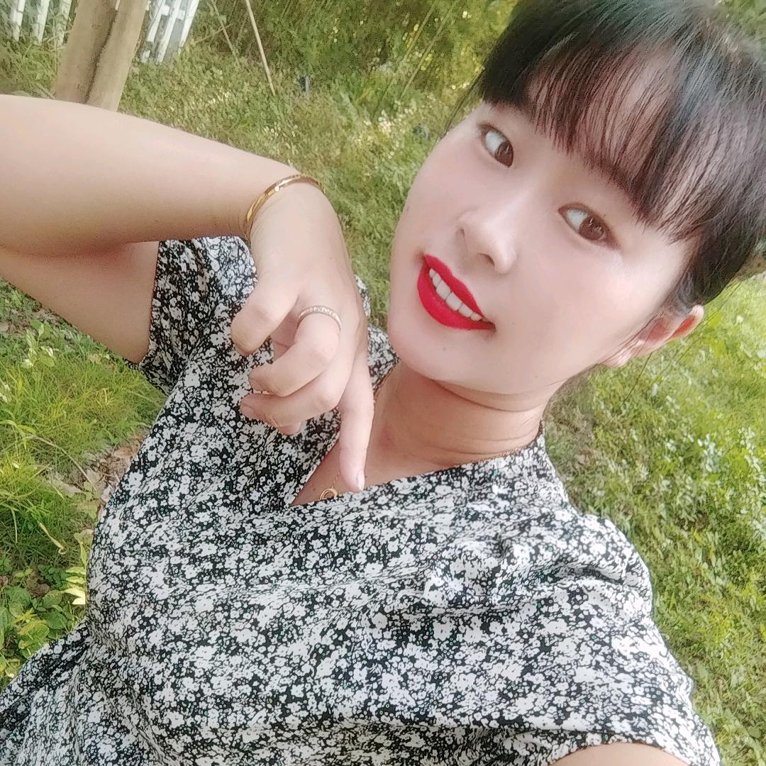 云南小进