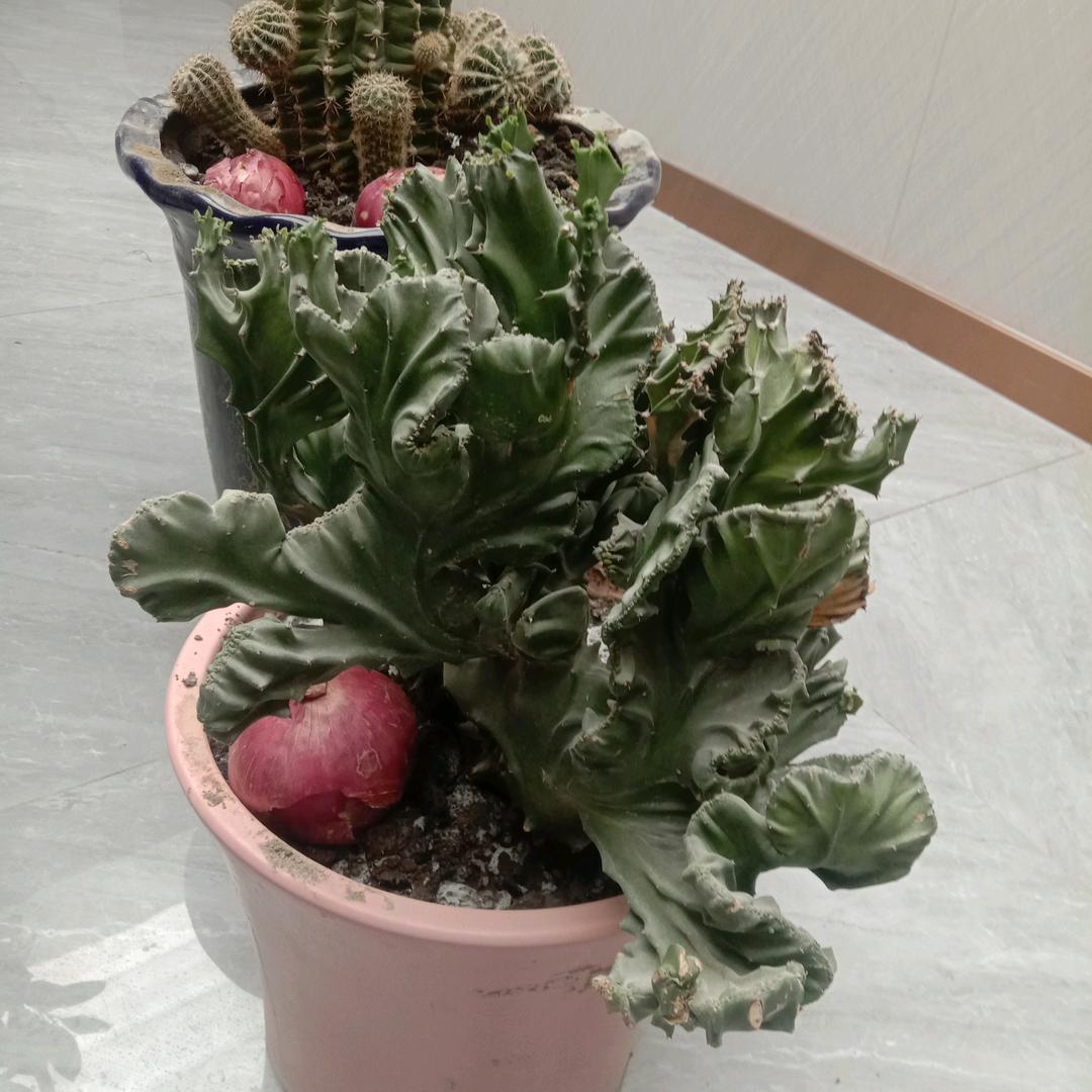 浩昊宾馆(健安舒雅民宿)