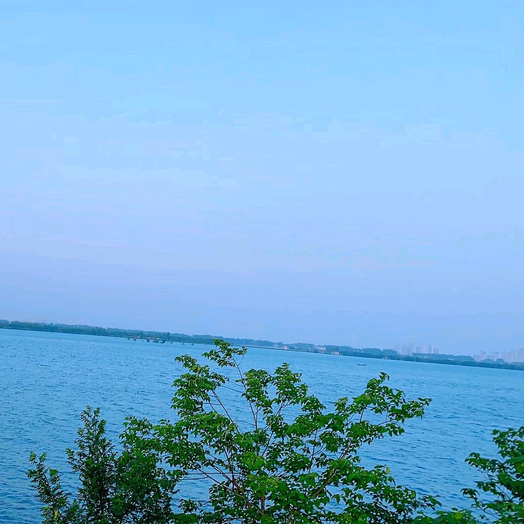 晚秋