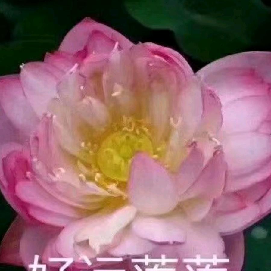 修心静心