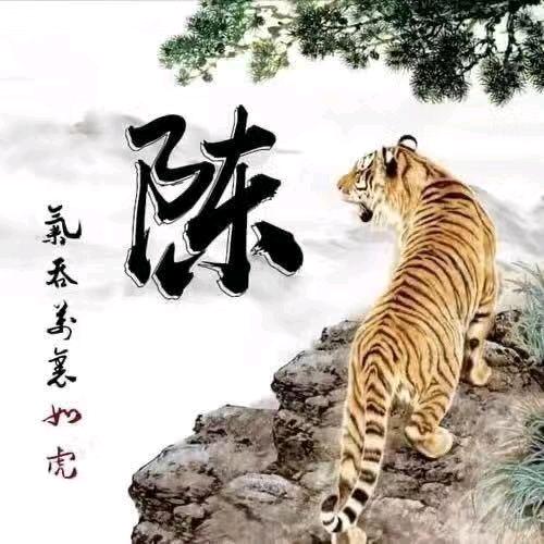 陈老歪﹌
