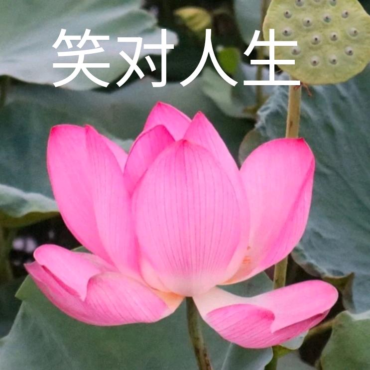 笑对人生🍀