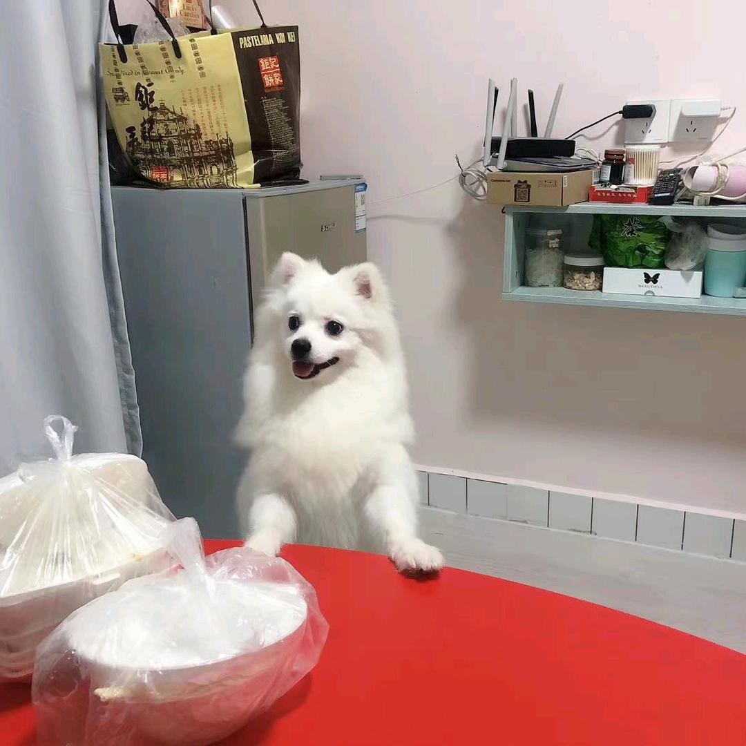 馒头加小九