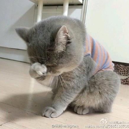 悠然😊