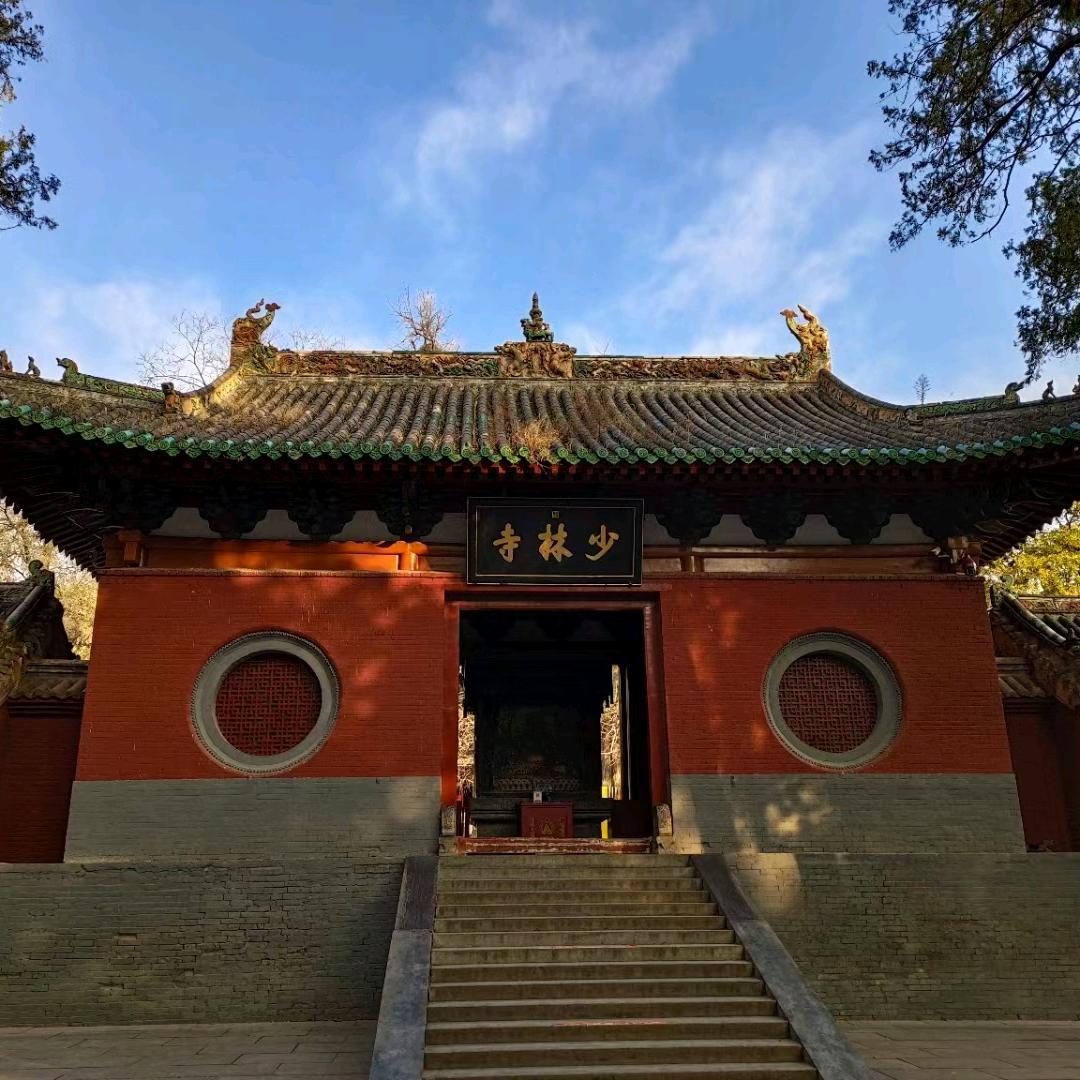 青苹果