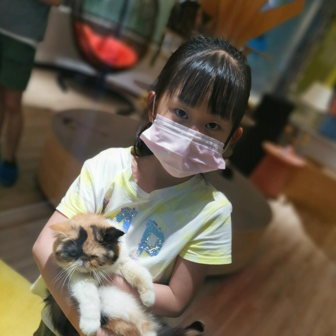 苹果