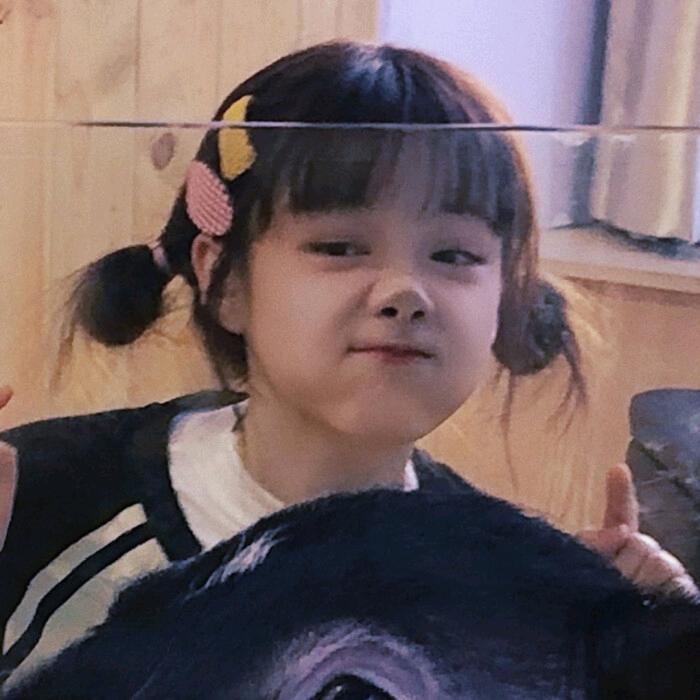 芮哥走丢了