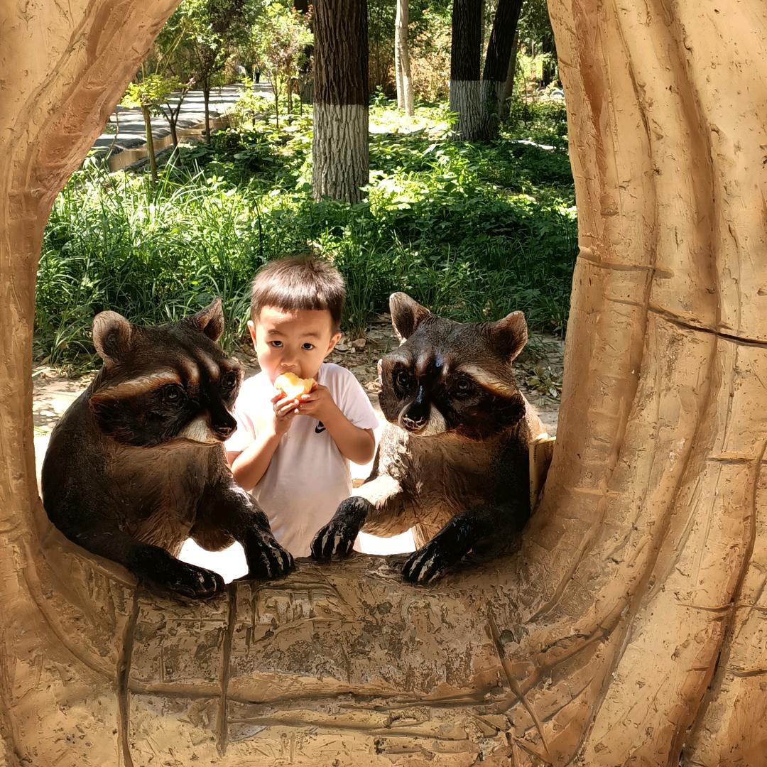 故人以北爱荒凉