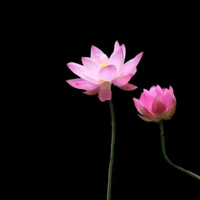 挥之不去的记忆