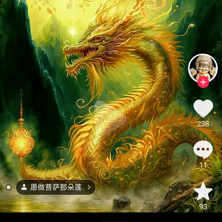 @金龙