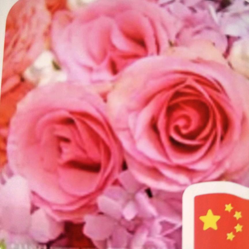 隗姐