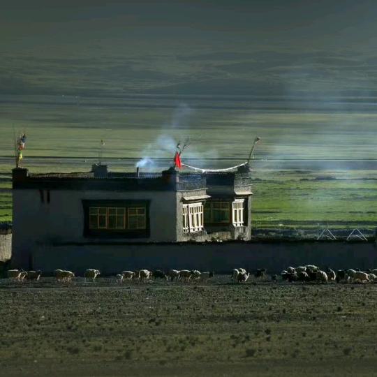Sangdoujia