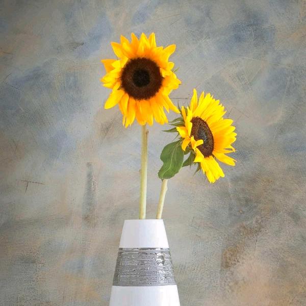 快乐的每①天悟空