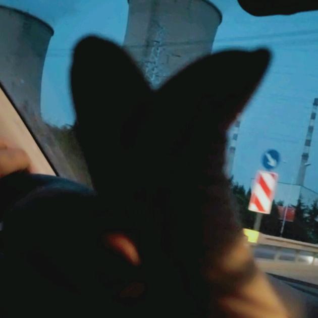 A😘守住你的温暖🍡🍡