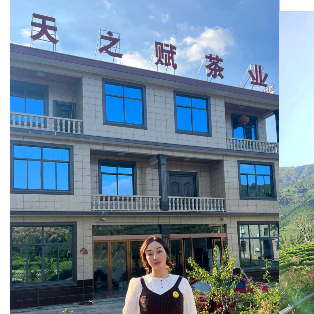 安吉道道香茶场