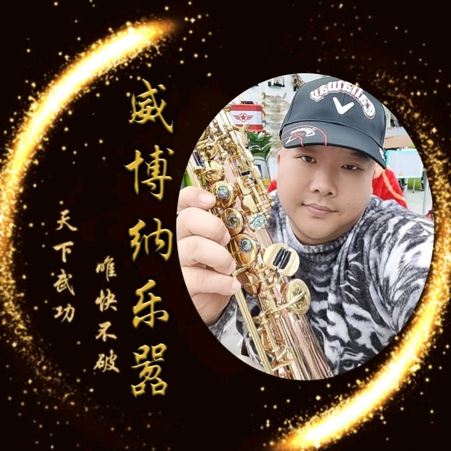 光头吴电吹管乐器 威博纳