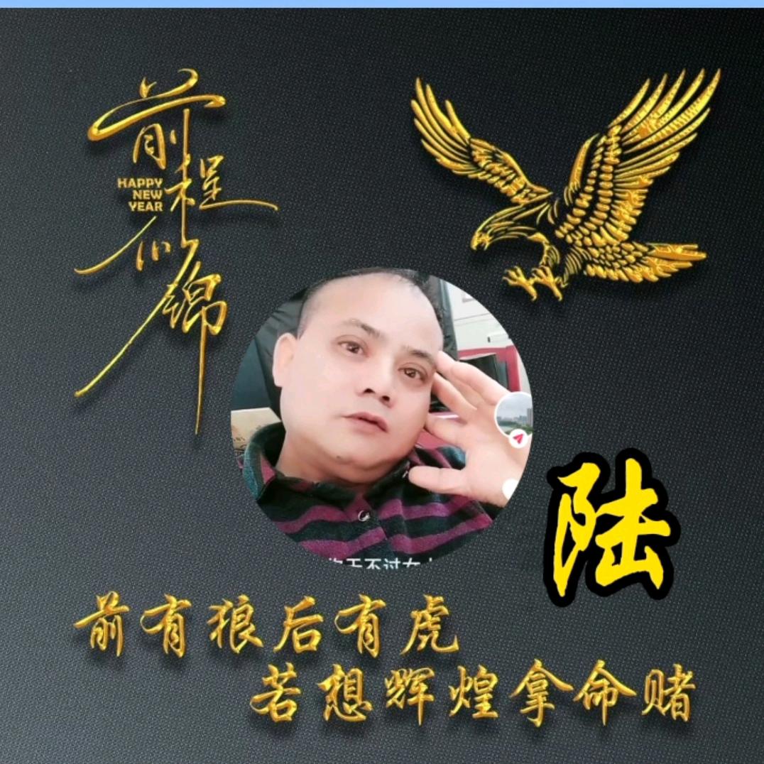 粤L龙哥