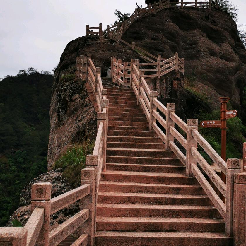 图书教育