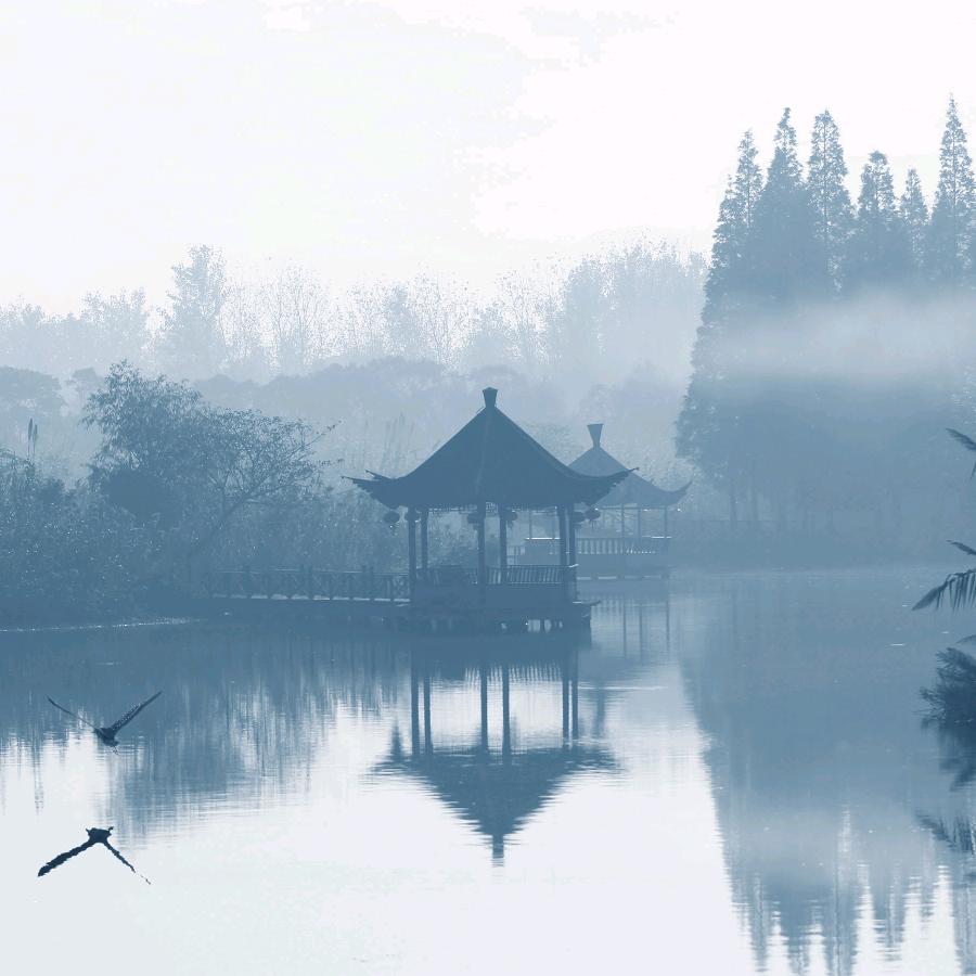 美酒佛加迪