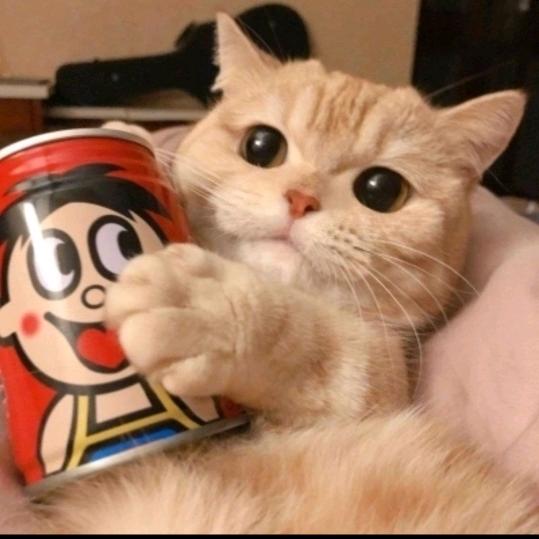 淡暮☞……橱窗有好物 ……☜