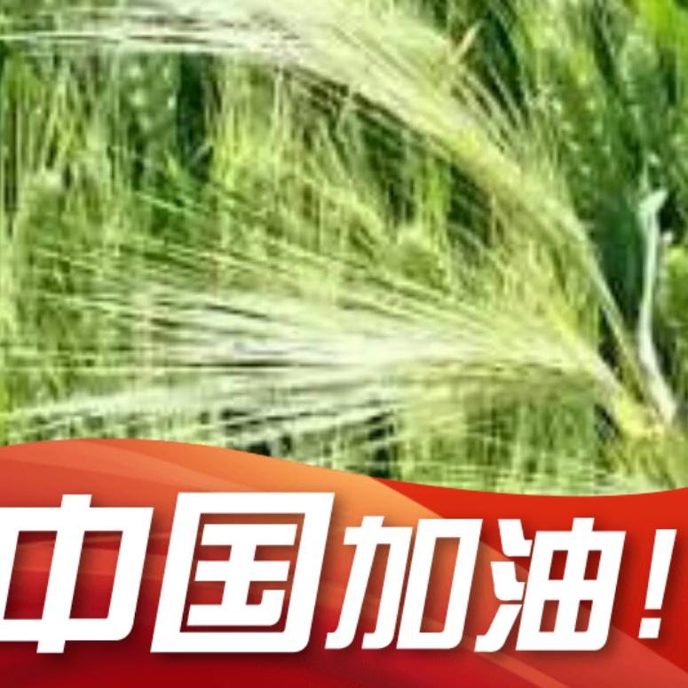 青麦穗