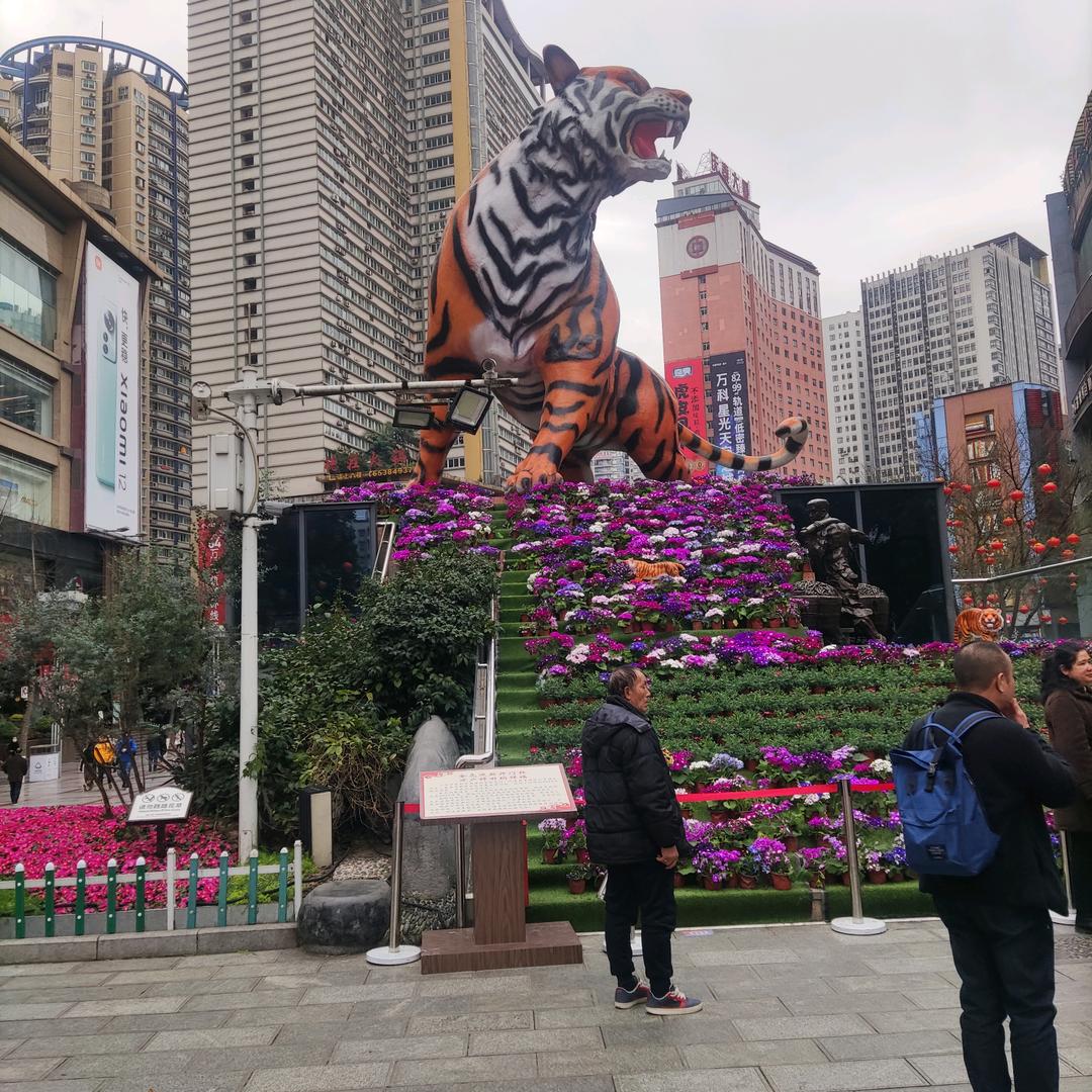 扯蛋的人生