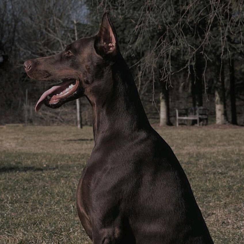 京骁农机旗舰店