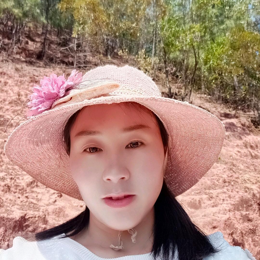 甘小菊
