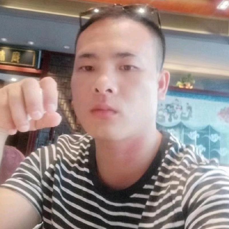 随风追梦